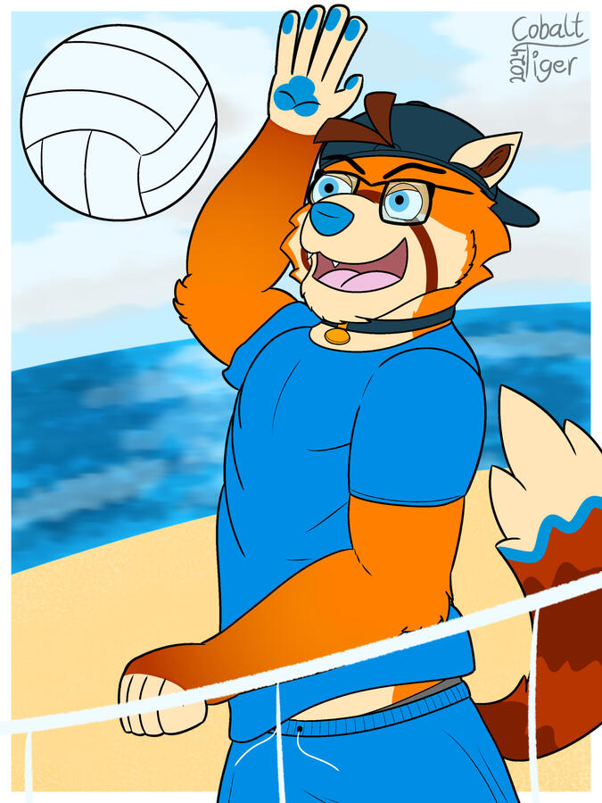 Round 16 (RowdyReindeer)