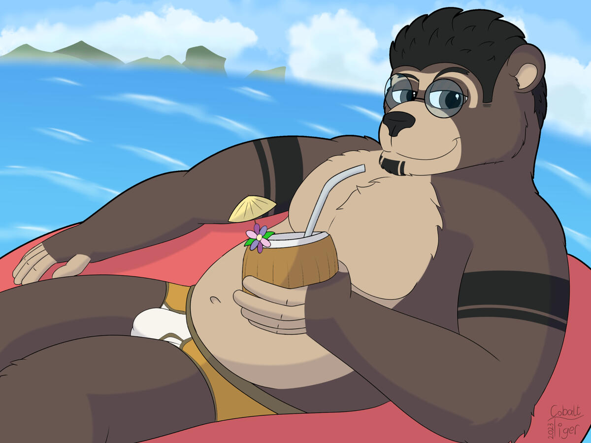 Round 3 (AndeanBear)