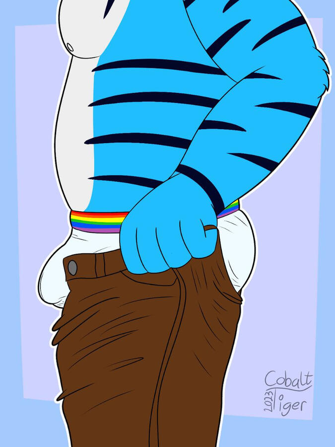 That One Pants/Bulge Meme